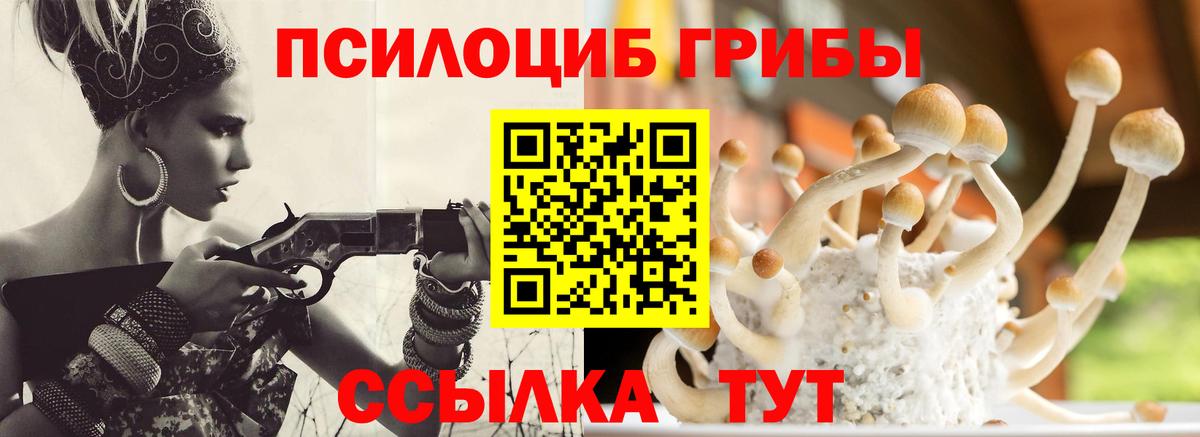 Псилоцибиновые грибы MAGIC MUSHROOMS Тверь
